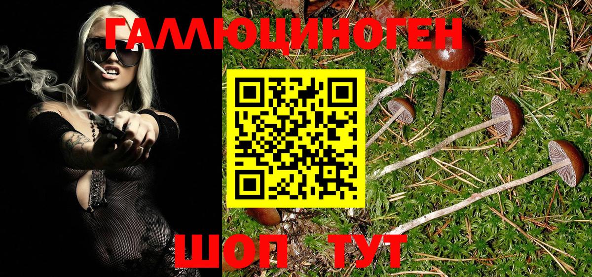 Кимры  Галлюциногенные грибы MAGIC MUSHROOMS  Вход с VPN 